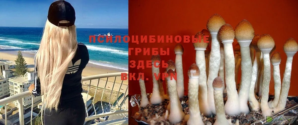 мефедрон Заводоуковск